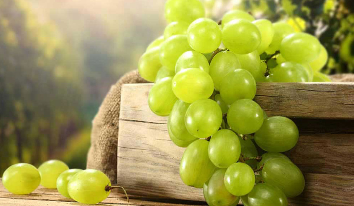 فوائد العنب للرجيم والصحة – ما هي فوائد العنب الاحمر