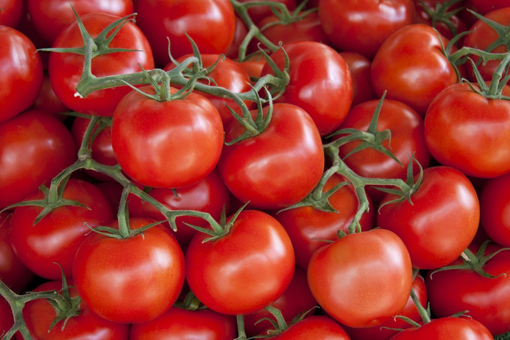 فوائد الطماطم للرجيم والصحة